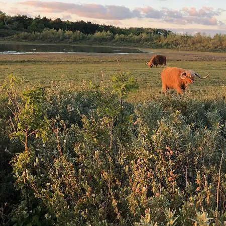 Casa de Férias De Duinlopers- Appt Zilt Zand- Strand, Duinen En Nabij Cultuur Steden