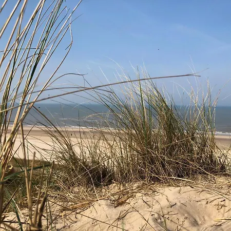De Duinlopers- Appt Zilt Zand- Strand, Duinen En Nabij Cultuur Steden Semesterbostad Castricum