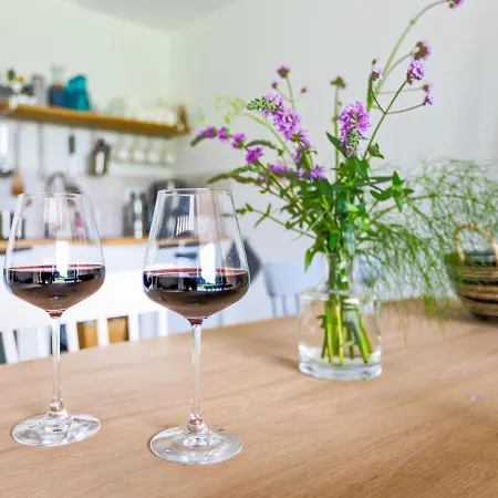 De Duinlopers- Appt Zilt Zand- Strand, Duinen En Nabij Cultuur Steden *