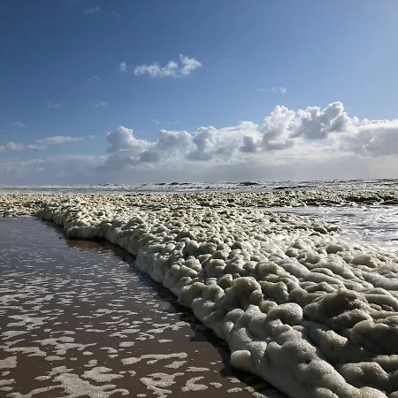 De Duinlopers- Appt Zilt Zand- Strand, Duinen En Nabij Cultuur Steden Prázdninový dům Castricum